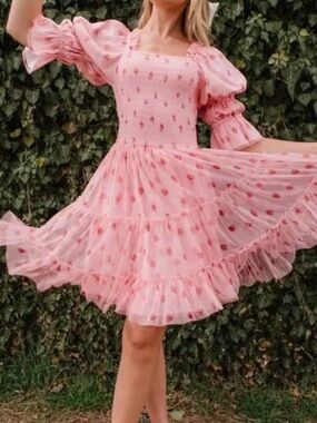 Ivy City Co Strawberry Fields Dress Size Small Spring Cottagecore Berry Cute